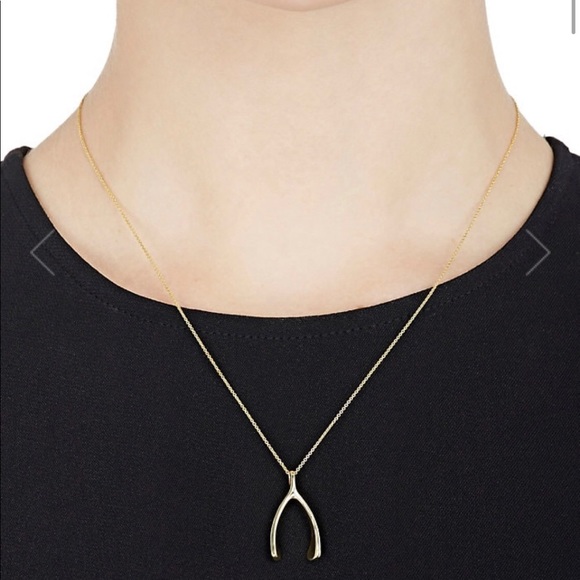 Gold Wishbone Necklace | Poshmark